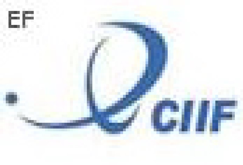 第二屆中國(上海)中小創(chuàng)業(yè)項目和投資加盟展覽會