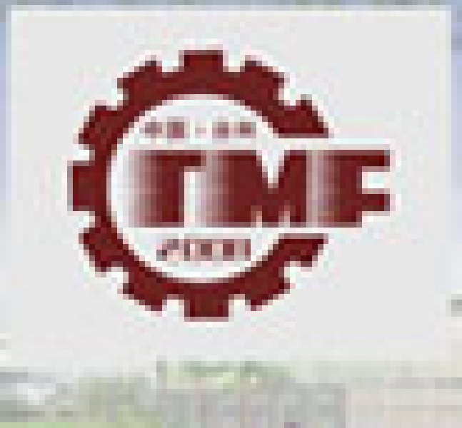 TMF2008中國(臺州)機床 工模具展覽會