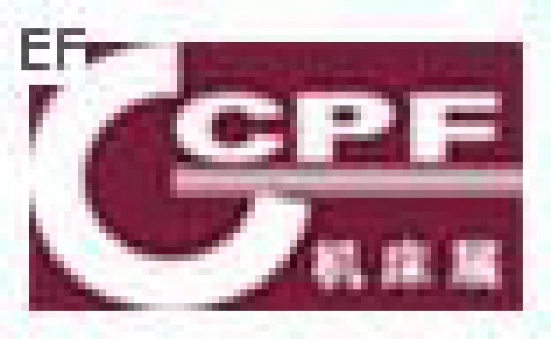 第三屆浙江瑞安機床塑機展覽會