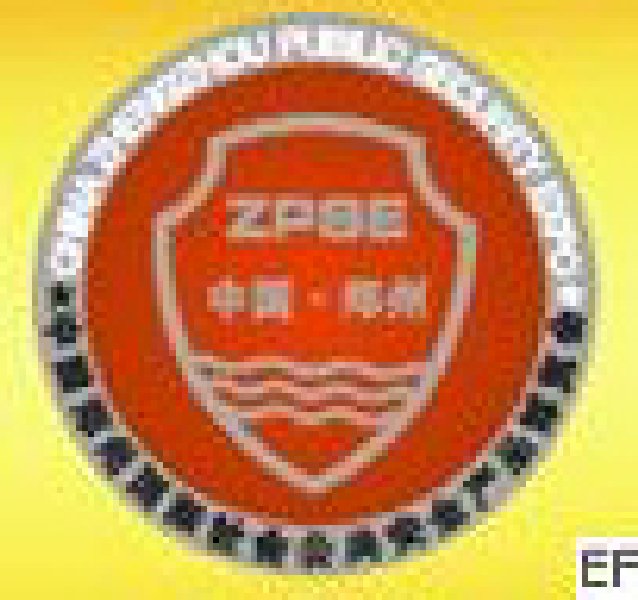 2010年第八屆中國(鄭州)社會公共安全產品博覽會