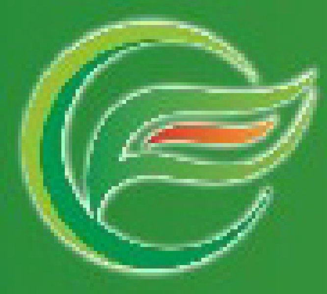 2010中國國際食品工業經貿洽談會(中山、黃圃)