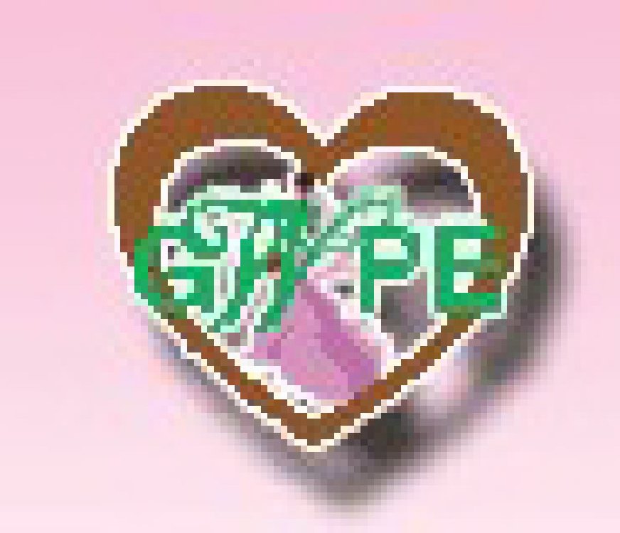 2011第二屆廣州婚紗攝影器件展覽會暨相冊相框、主題攝影及兒童攝影展覽會