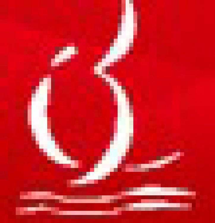 2011吉林(長春)第六屆國際建筑節(jié)能產(chǎn)品、新型墻材展覽會暨國際干混砂漿、墻體保溫技術(shù)與產(chǎn)品展覽會