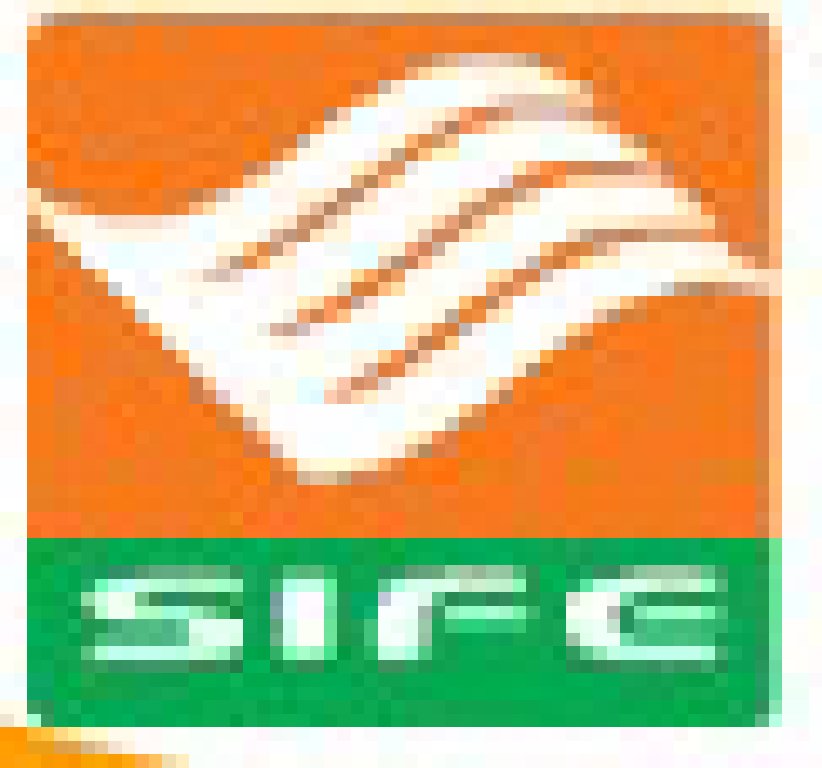 2011國(guó)際特許加盟(上海)展覽會(huì)