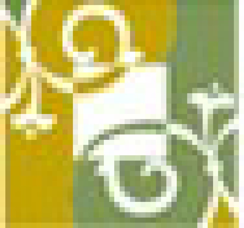 2011第二十四屆廣州(錦漢)家居用品及禮品展覽會